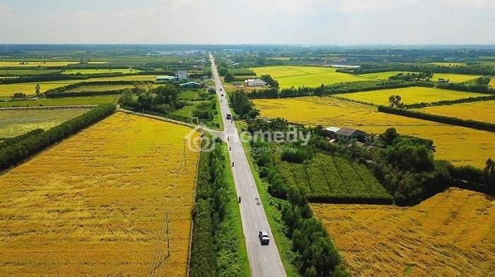 Tiềm năng thị trường đất nông lâm nghiệp Bình Thuận
