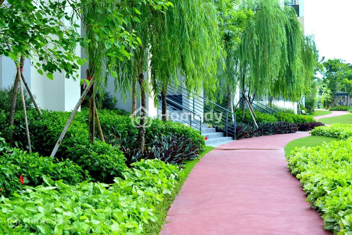 Mulberry Lane