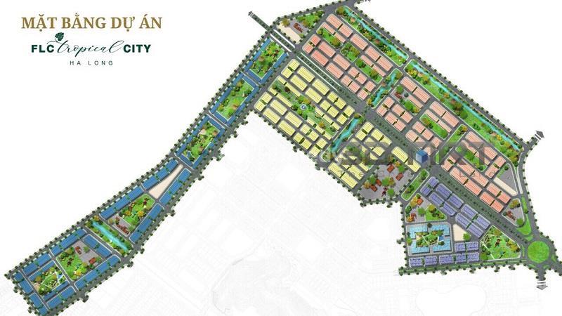 FLC tropical city