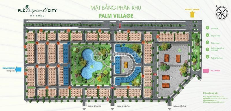 FLC tropical city