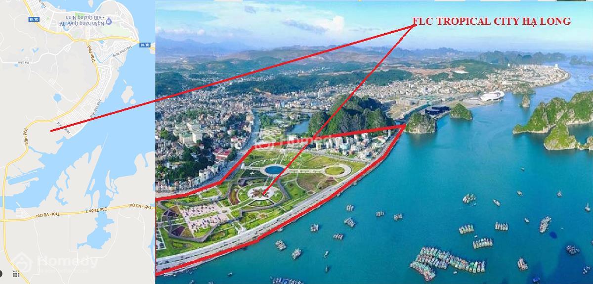 FLC tropical city