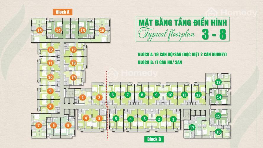 Mặt bằng điển hình tầng 3-8 dự án Ricca