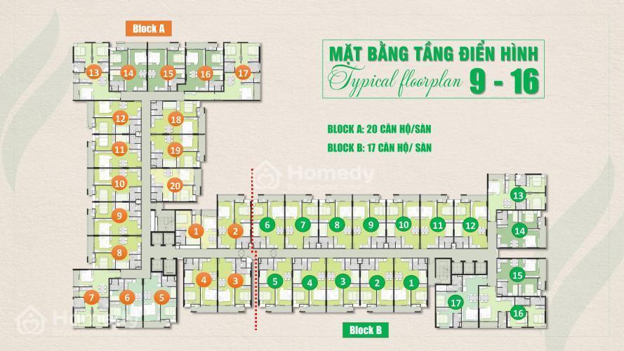 Mặt bằng điển hình tầng 9-16 dự án Ricca