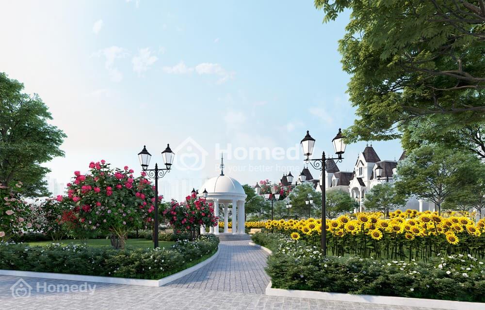 Helianthus Center Red River