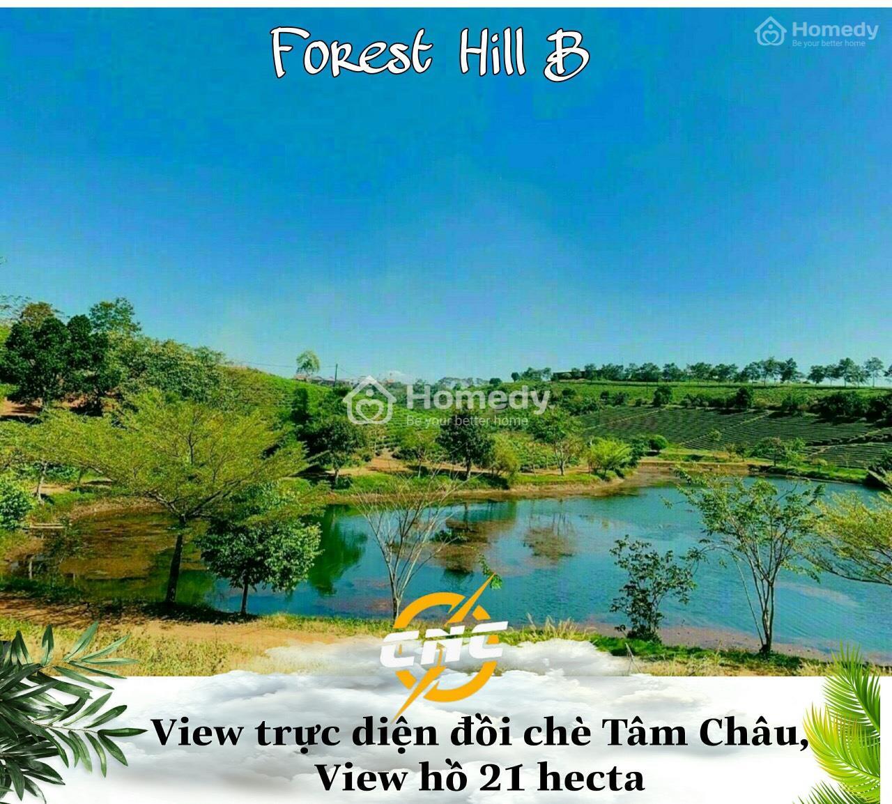 Forest Hill