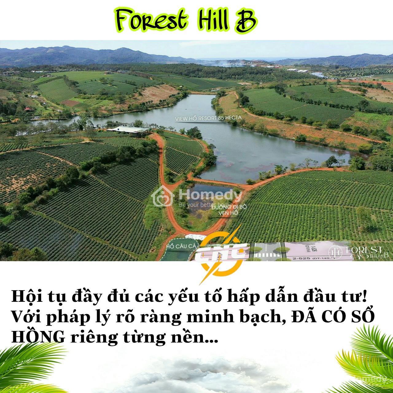 Forest Hill