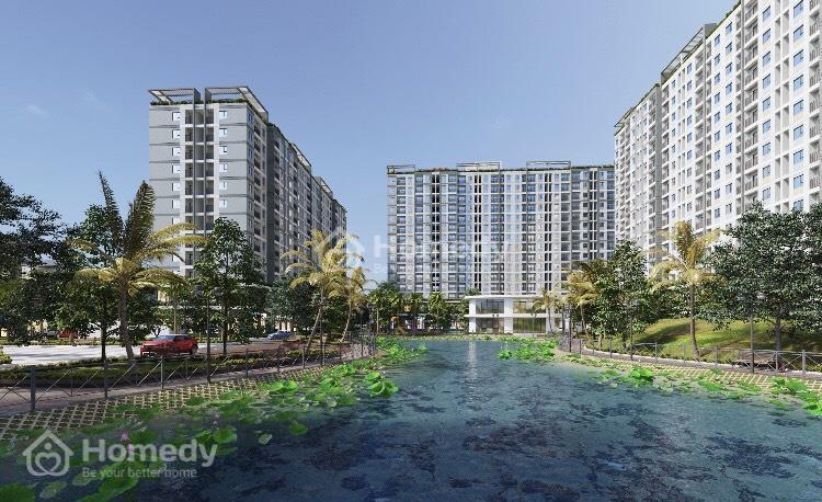 Dự án Ecohome Nhơn Bình