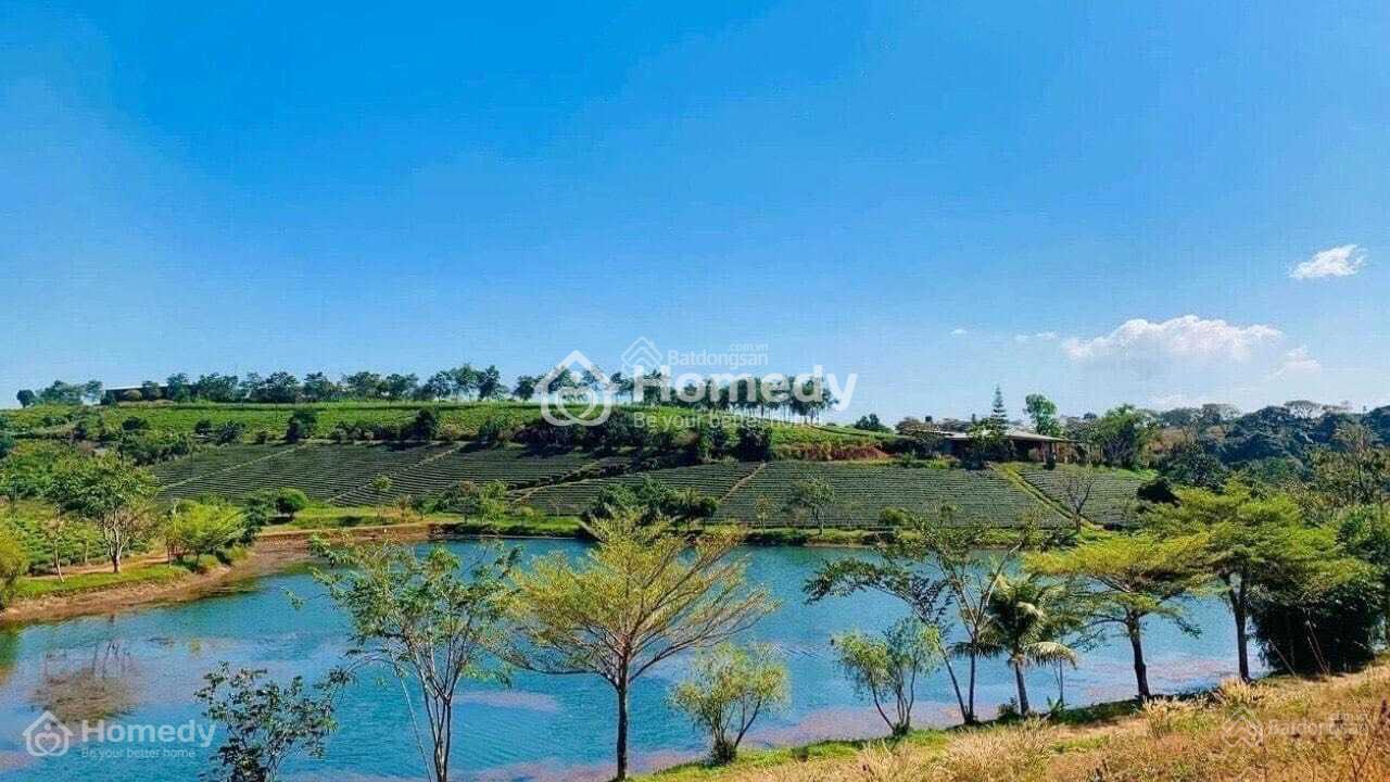 dự án đất nền Điểm Dân Cư Đức Giang 