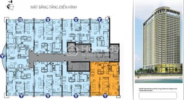 sơ đồ phân bố mặt bằng