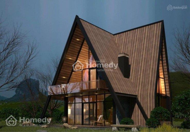 Thiết kế dự án The Venica Luxury