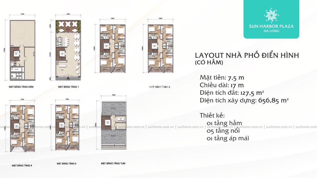 Nhà phố điển hình (có hầm)