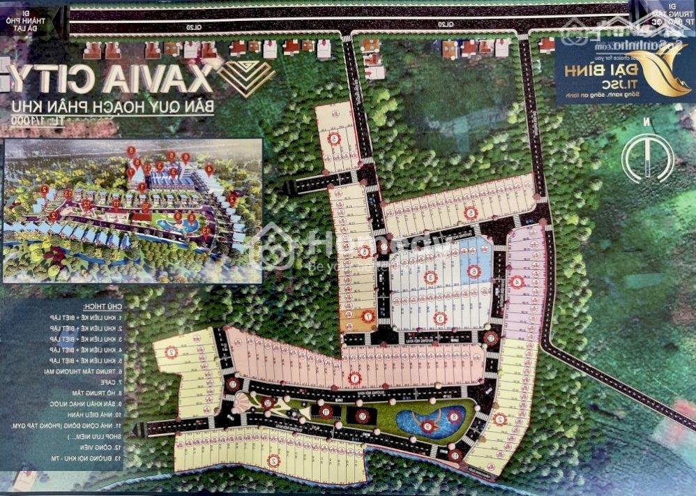 Mặt bằng dự án Đại Bình Xavia city