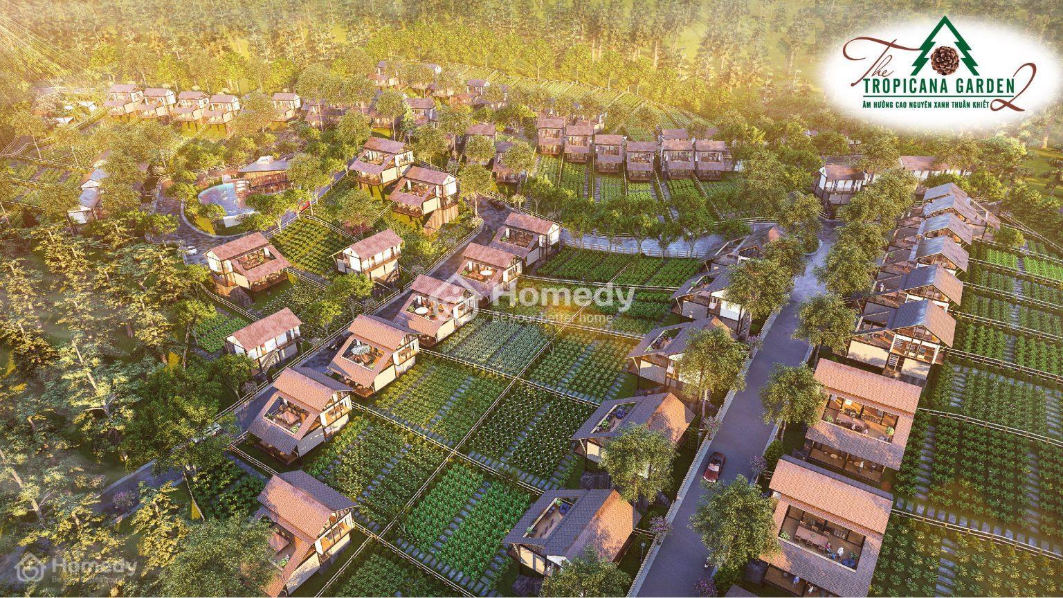 Phối cảnh dự án The Tropicana Garden