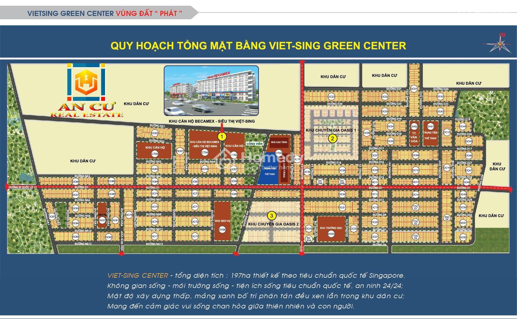 Mặt bằng dự án VietSing VSIP 1 