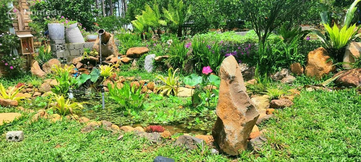Hình ảnh thực tế dự án Richard Lộc Phát