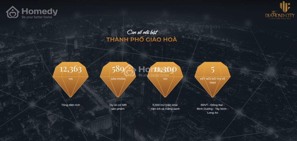 Điểm nổi bật của dự án The Diamond City