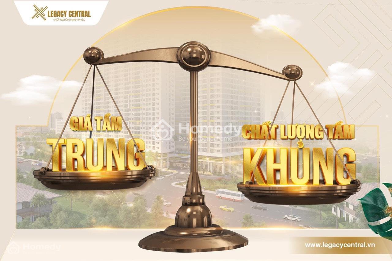 Tiềm năng sinh lời cao