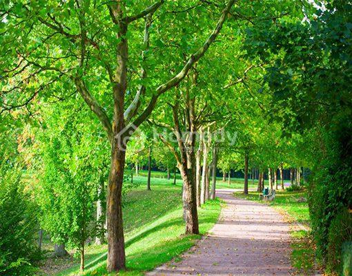 Tiện ích dự án HQC Plaza (Hoàng Quân Plaza)