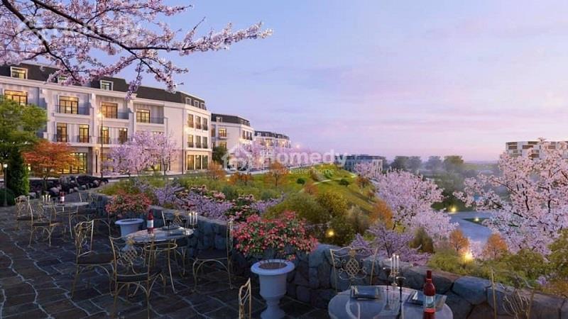 Ảnh phối cảnh dự án The Terrace Lào Cai