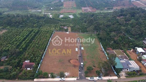 Hình ảnh thực tế Lộc An Goldensite 