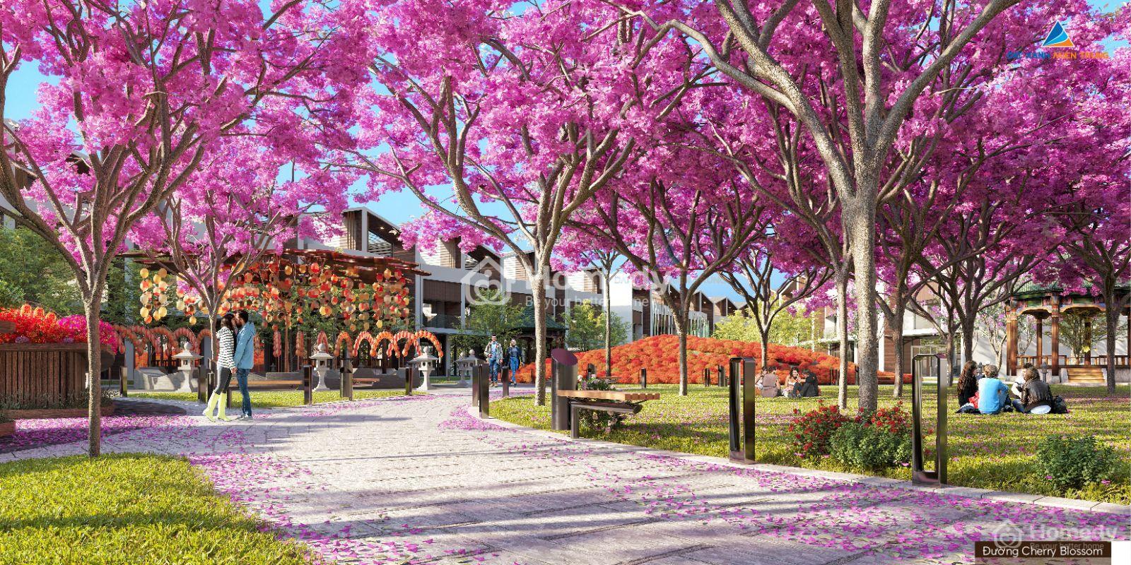 Tiện ích dự án Dragon Smart City