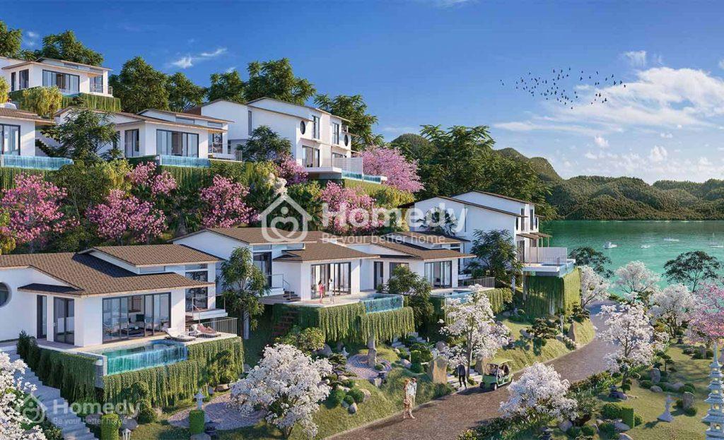 Thiết kế biệt thự Takara Hòa Bình Resort