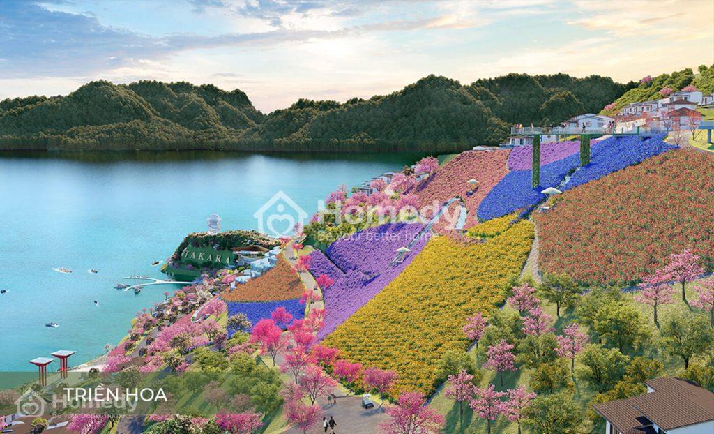 Tiện ích dự án Takara Hòa Bình Resort
