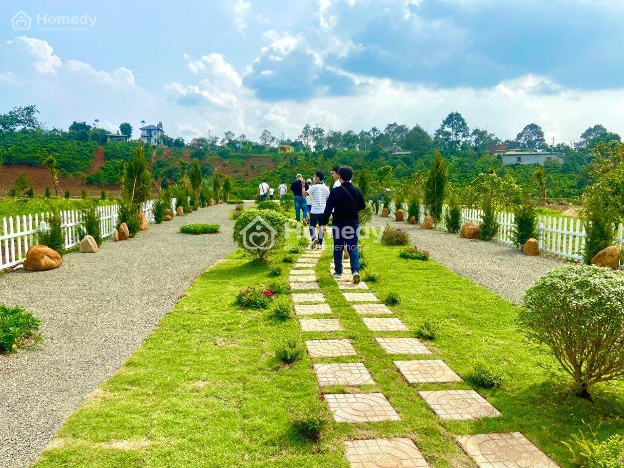 Ảnh mặt bằng Đất vườn Thành phố Long Khánh
