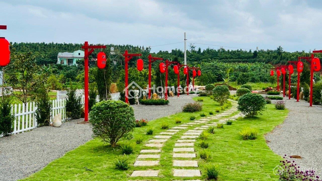 Ảnh mặt bằng Đất vườn Thành phố Long Khánh