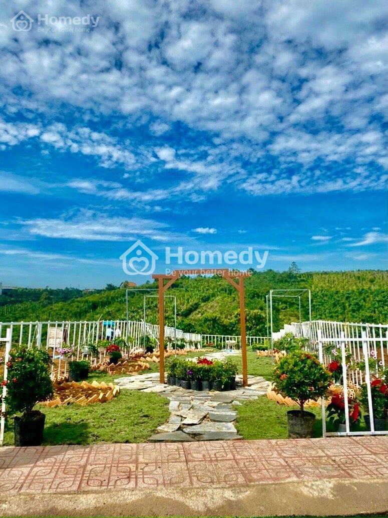 Ảnh mặt bằng Đất vườn Thành phố Long Khánh
