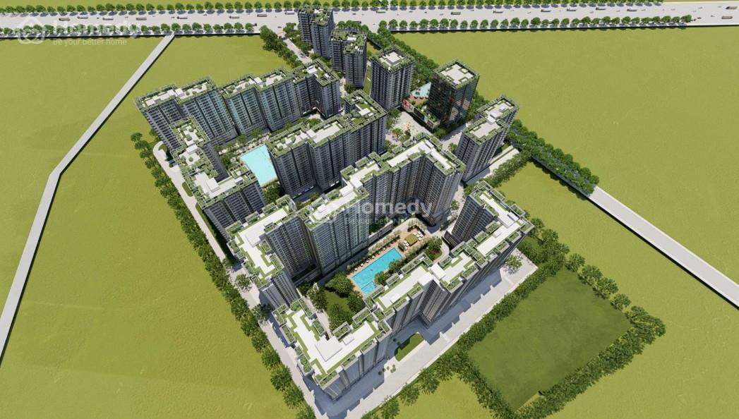Mặt bằng dự án The Win City Đức Hòa